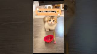 This Cat Got Dragon Fruit Blush 😹