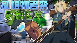 [閒聊] 曼德拉草呈白色人樣吃後幻覺自己有女友