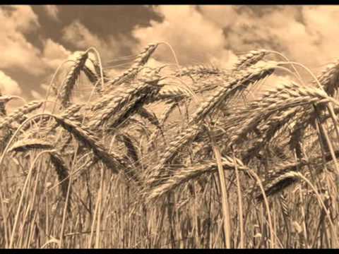 download lagu mp3 mp4 Tia Negra, download lagu Tia Negra gratis, unduh video klip Tia Negra