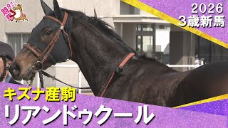 リアンドゥクールが３馬身半差で完勝！ハマーハンセン騎手「まだ子供っぽいところある」2026年2月14日(土)３歳新馬　京都ダート1800m　実況：川島壮雄【カンテレ公式】