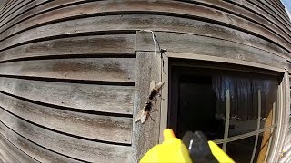 NEW! - Bug-A-Salt Gun Test & Review - Shoots Flies with Table Salt! Fly Killing Weapon