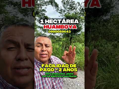 🚨 EN HUAMBOYA HECTÁREAS CON FINANCIAMIENTO A 2 AÑOS
