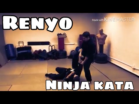 Bujinkan Budo Taijutsu Renyo Kata Kihon Gyokko Ryu
