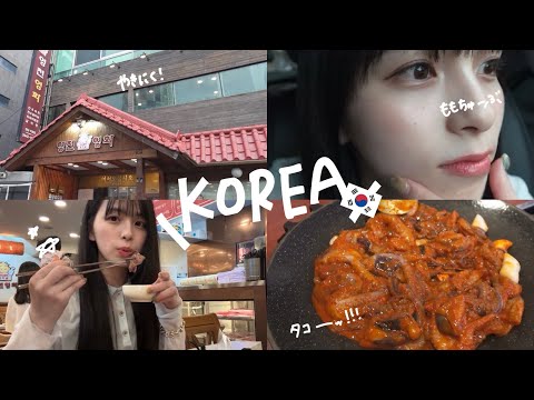 辛。韓国出張旅【vlog#5】