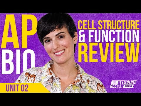 AP Bio Unit 2 Cell Structure and Function Review - 2025 UPDATE!