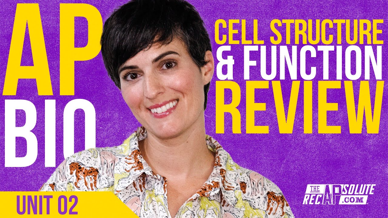 AP Bio Unit 2 Cell Structure and Function Review - 2025 UPDATE!