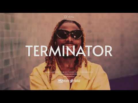 Amapiano Instrumental 2023 Asake X Zinoleesky X Seyi Vibez Type Beat "TERMINATOR"