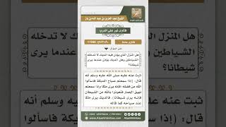 11550 - هل صياح الديكة يمنع دخول الشياطين؟ -  نور على الدرب image