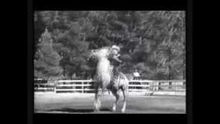 Stan Corliss - Roy Rogers Song