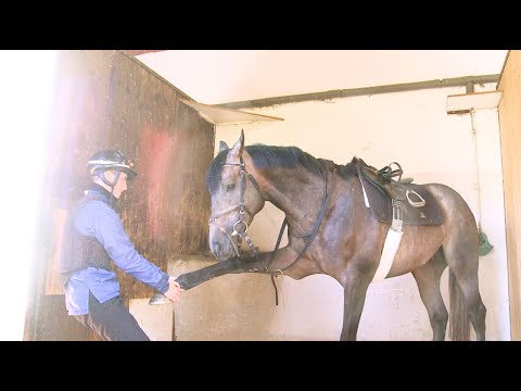 Hinter den Kulissen der größten Galopprennbahn Deutschlands - Teil 1: So arbeitet eine Jockette