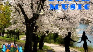 Meters - They All Ask&#39;d For You