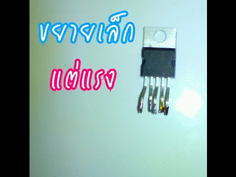 มากกว่ายาเคาน์เตอร์เพื่อเพิ่มความแข็งแรง ความอ่อนแอทิงเจอร์กระเทียม