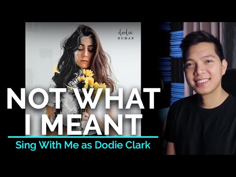 Not What I Meant - Dodie Clark