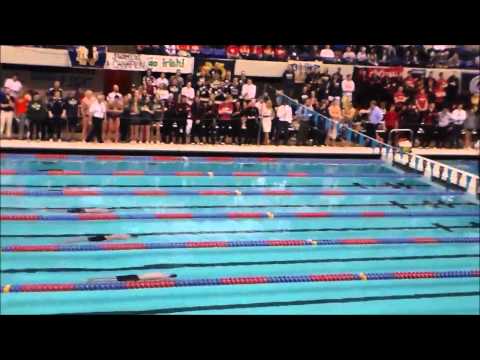 Chris Johnson Wins 2013 Big East 100 Breast Stroke