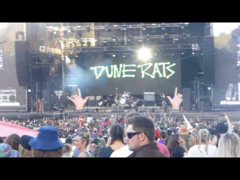 Thumbnail for DUNE RATS w/ Phil Jamieson - "Just Ace" @ Splendour In The Grass, 22/07/17 by James Tidswell