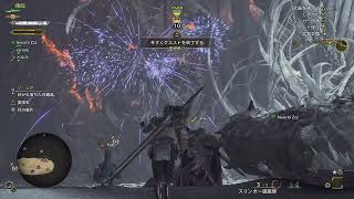 【MHWilds】白耀の造龍玉、（白耀の造龍玉）、白耀の造龍玉