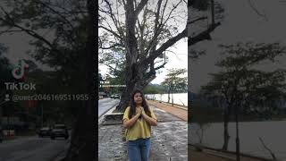 Download lagu #life#happy #love #freedom#Riyon Sew vlogs mp3