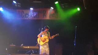 Pub Crawl by The Fawn (Nicky de Blank)