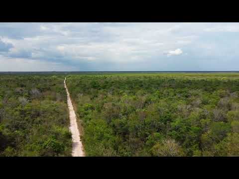 Fazenda à venda em Baianópolis, Zona Rural, 4046,42ha