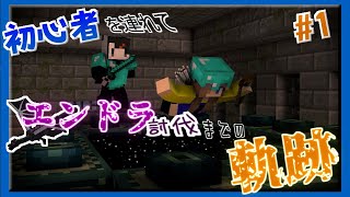 【初心者と】ブロックだらけの世界！＃１
