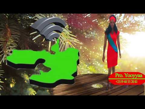 NEW Oromo Music Seenaa Kamaal 2018 Aagazi Aagazii Miti Magaziin Addan Nun Baasu