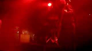 Sportfreunde Stiller (tun nur das) was dein Herz dir sagt