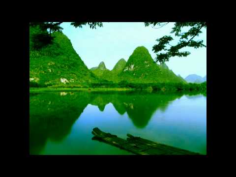 Genetic Spin & Silicon Sound - Nature