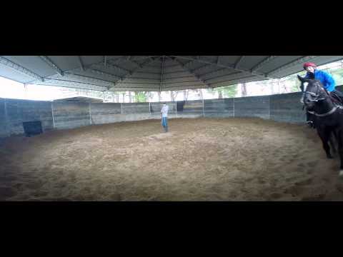 'Good Journey' yearling colt, 1st ride for Brideoake racing