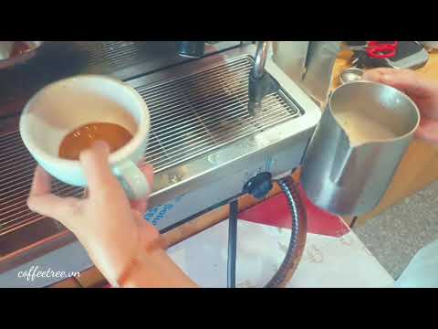 Cafe Vlog em vietnamita | Incrível Latte Art por Coffee Tree