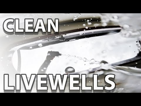 How to Easily Clean Your Livewells