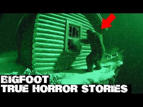 3 Hours of Truly Scary Bigfoot Encounters | BIGFOOT Documentary 2025 | Vol. 404 | #bigfoot 2025