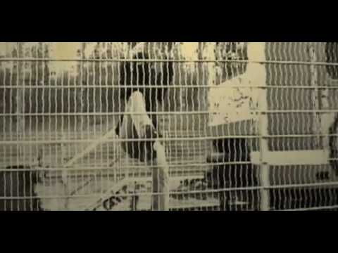 Disgrafix-Sila  Jmena