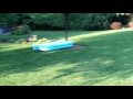 Dog Runs Away With Inflatable Pool