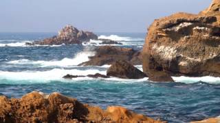 Point Lobos