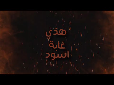 El PaiN - Dinho | غابة | Dredar - Viking