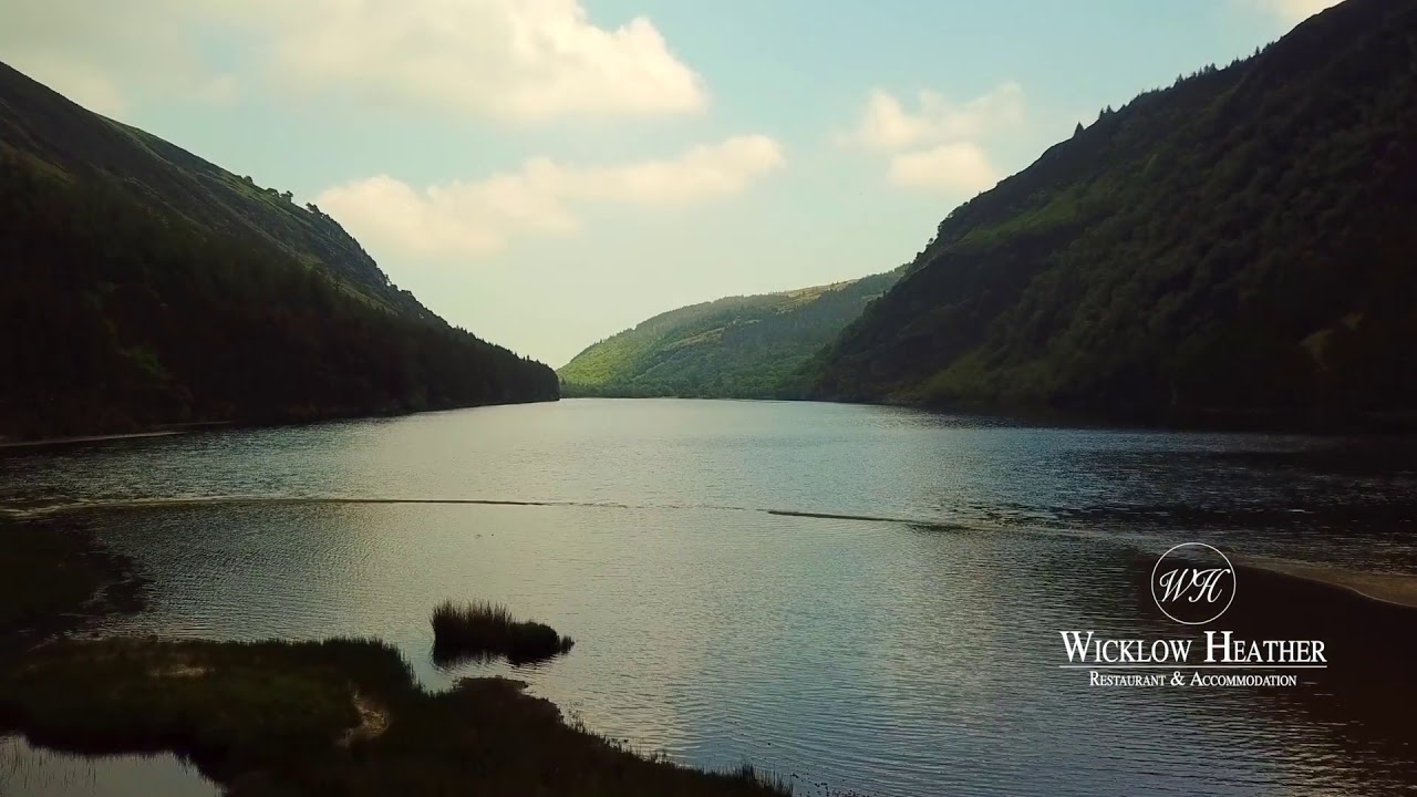 Wicklow Heather Teaser