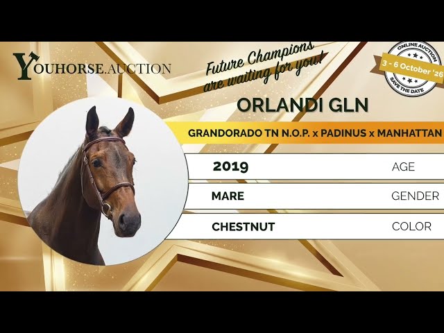 Orlandi homevideo