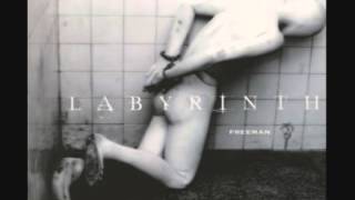 Labyrinth - Infidels