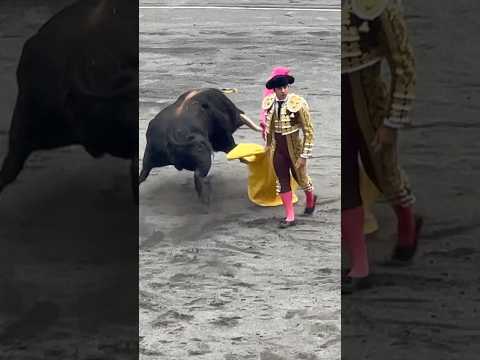 Torero Jesús Enrique Colombo /bull fighter #torero #toros #bullrun #bullriding #bullfight#bilbao