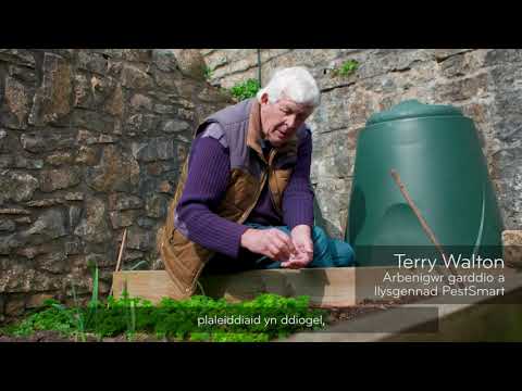 PestSmart - short intro. Cymraeg