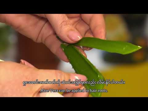 Amazing Benefits of Aloe Vera for Health and Beauty. 🌿🌵 