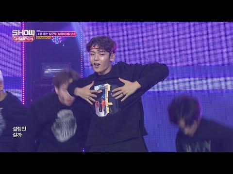Show Champion EP.249 A.C.E. - Callin' [에이스 - Callin']