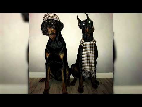 DeMiEn feat VorDa - Glavo gor