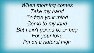 Lenny Kravitz - Natural High Lyrics