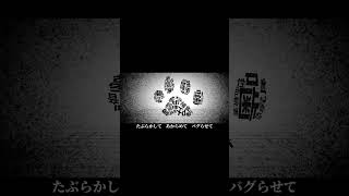 ニャン shorts ver.／うらたぬき（cover）