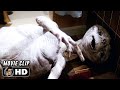 E T Clip Government Invasion 1982 Steven Spielberg