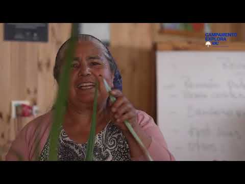 CAMPAMENTO EXPLORA VA 2026