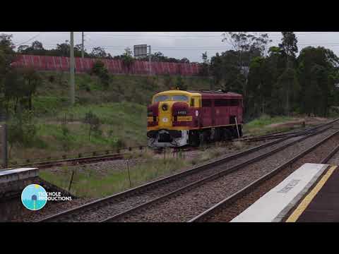 Diesel Locomotive 4486 - Light Engine Movement - November 2021