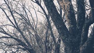 Fresh air: editorial video featuring audio: Treasure -Sampha (Beautiful Boy Original Motion Picture)