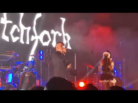 PROJECT PITCHFORK LIVE 27. DARK STORM FESTIVAL 2025 CHEMNITZ STADTHALLE 